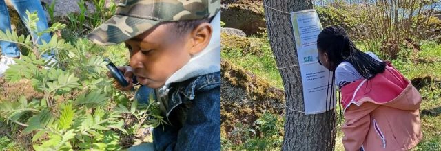 Poika ja tyttö tutkivat luontoa ja rasteja Mental Health Art Week Metsän Henki -luontopolulla